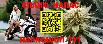 СК Кулебаки