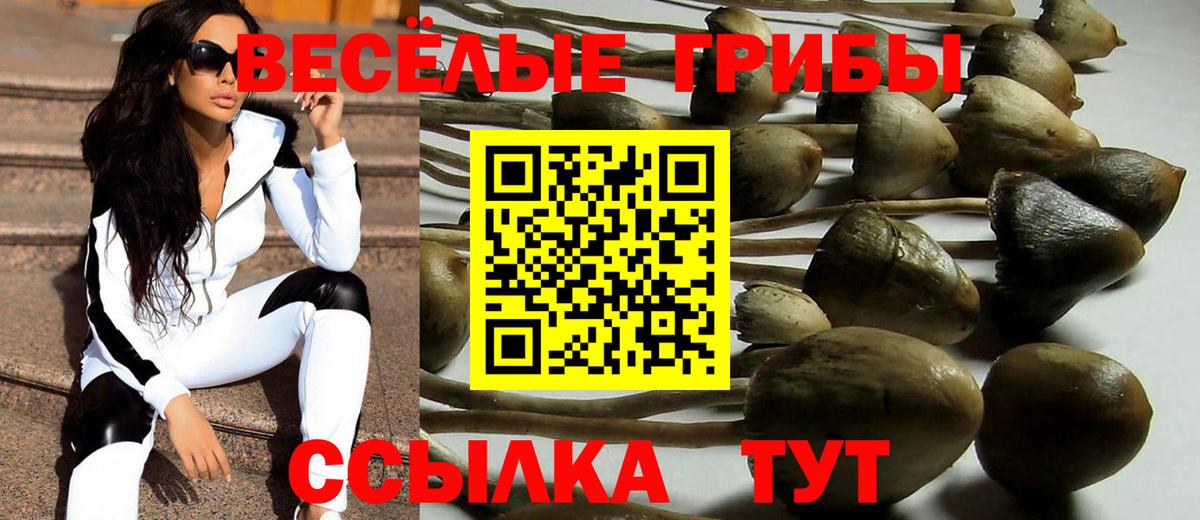 Псилоцибиновые грибы GOLDEN TEACHER  Вход с VPN  Псилоцибиновые грибы прущие грибы  Унеча 
